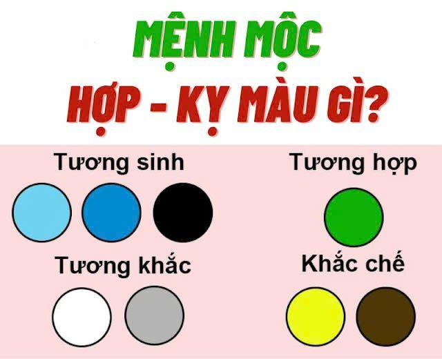 Ứng dụng màu sắc hợp mệnh mộc hợp màu gì vào nội thất giúp không gian sống thêm hài hòa.