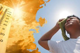 Tác hại của thời tiết quá nóng