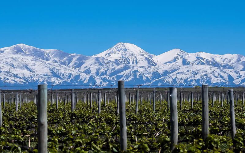 Mendoza, nằm dưới chân dãy Andes, là vùng sản xuất rượu vang lớn nhất và nổi tiếng nhất Argentina.