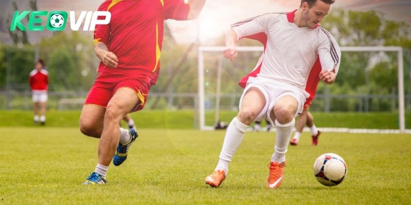 Quy trình nhà cái điều chỉnh tỷ lệ trong kèo nhà cái 5