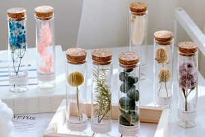 Lọ Thủy Tinh: 5 Ý Tưởng Trang Trí Và Ứng Dụng Phong Thủy Độc Đáo