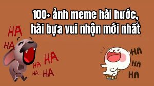 Ảnh Meme Là Gì? Định Nghĩa Và Lịch Sử Phát Triển Thú Vị