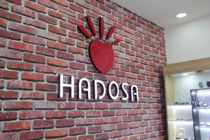 Hadosa - Trang Sức: 5 Dòng Sản Phẩm Và Bí Quyết Chọn Mua Hợp Mệnh